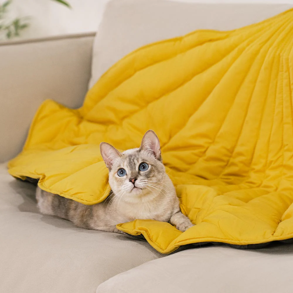 All-Season Washable Throw Furniture Protector Cat Bed Blankets - Holidayae