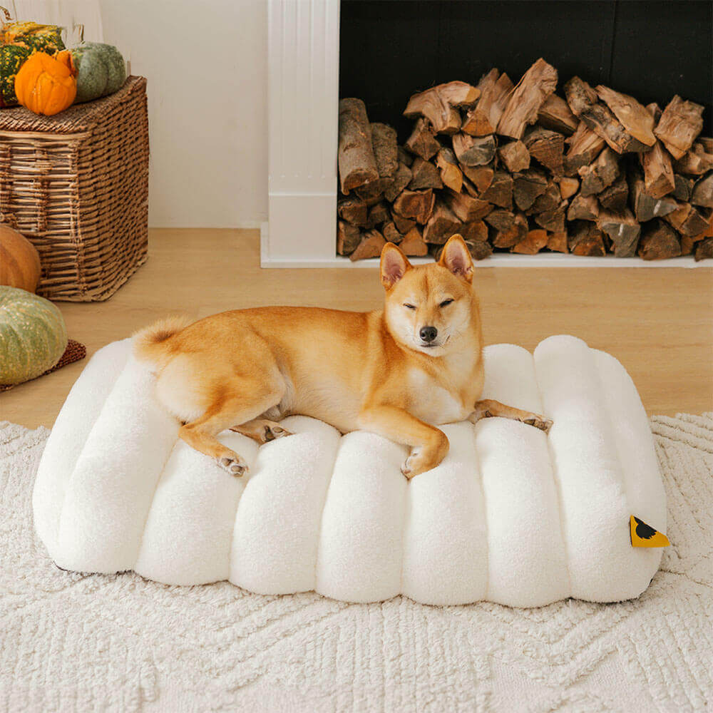 Large Washable Creamy Cozy Flat Dog Beds - Cheesecake - Holidayae
