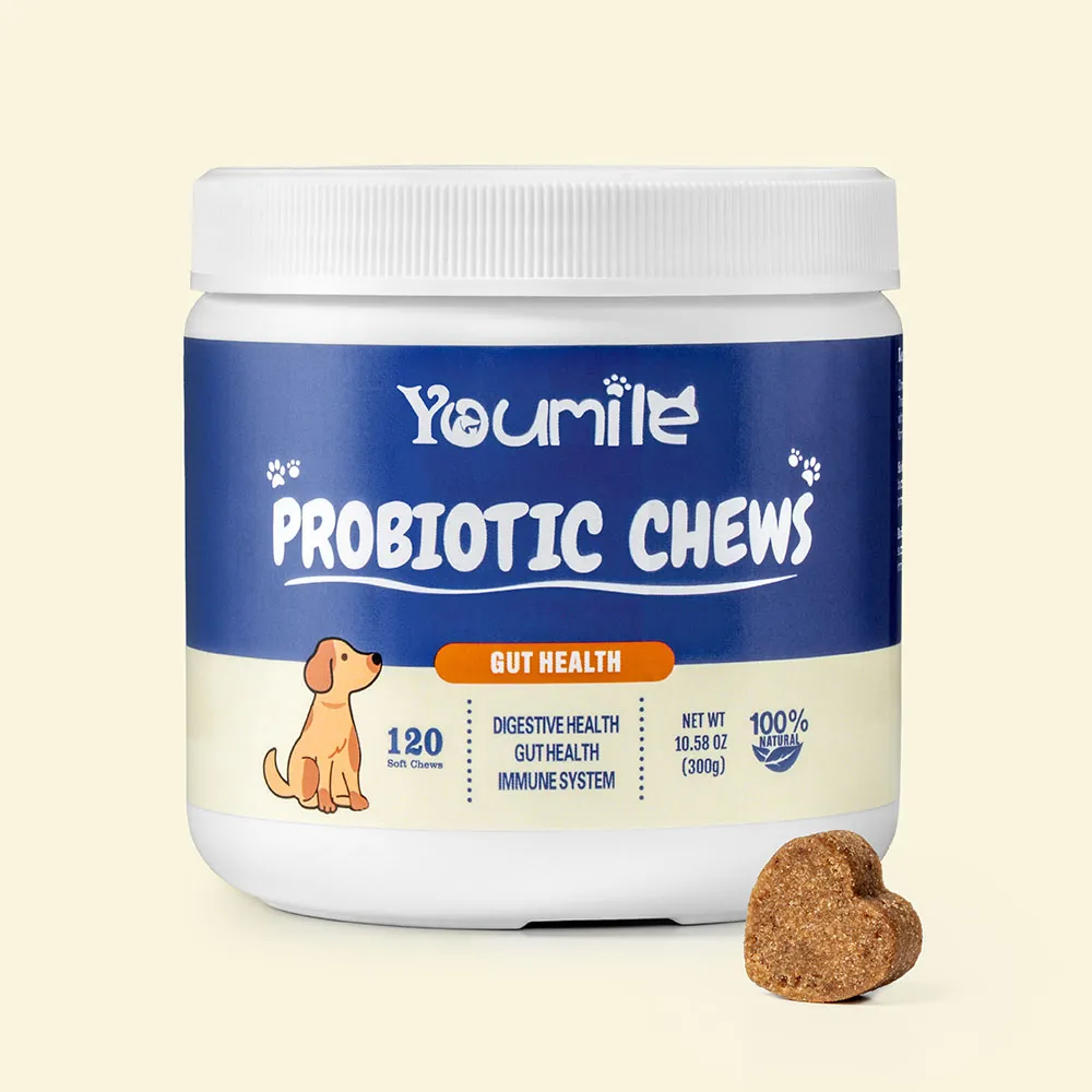 Probiotic Soft Chews for Dogs (120 Count) | Digestive Health & Immune Boost - Holidayae