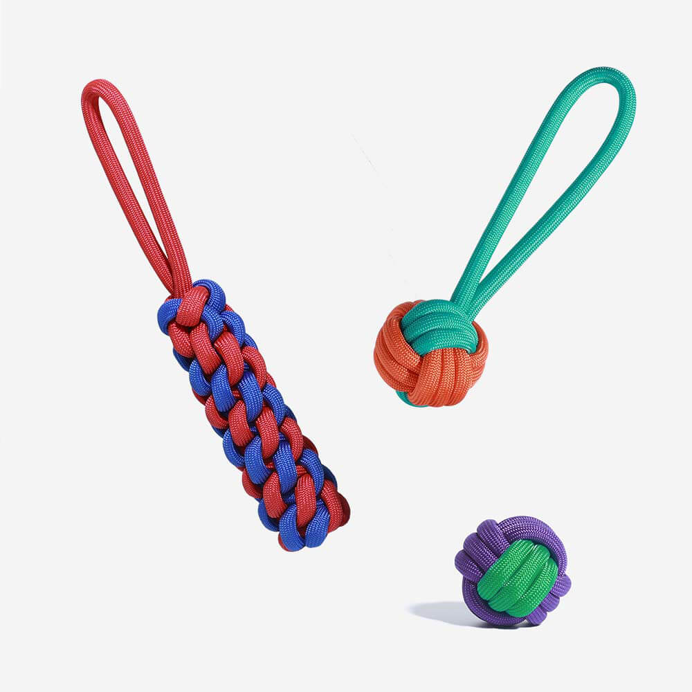 Knots Rope Dog Toy Set - Color Clash - Holidayae