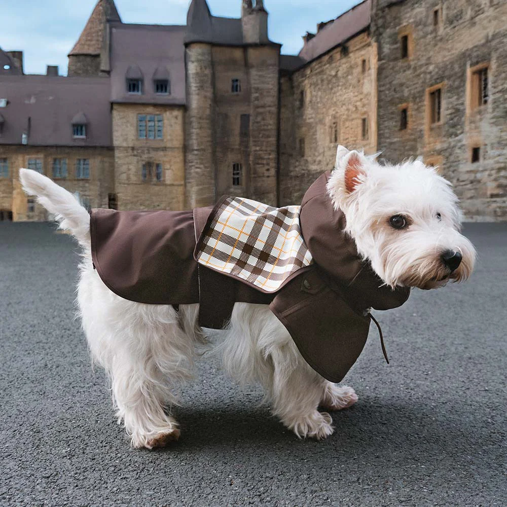 Waterproof Vintage Plaid Adjustable Dog Raincoat - All-Weather Protection - Holidayae