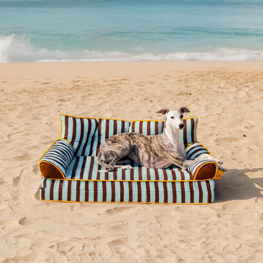Stripe Waterproof Foldable Large Dog Sofa Bed - Sunny Siesta - Holidayae