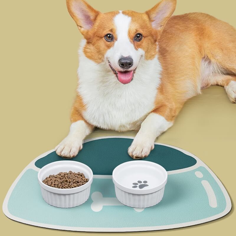 Quick-Dry Absorbent Non-Slip Pet Feeding Mat - Holidayae
