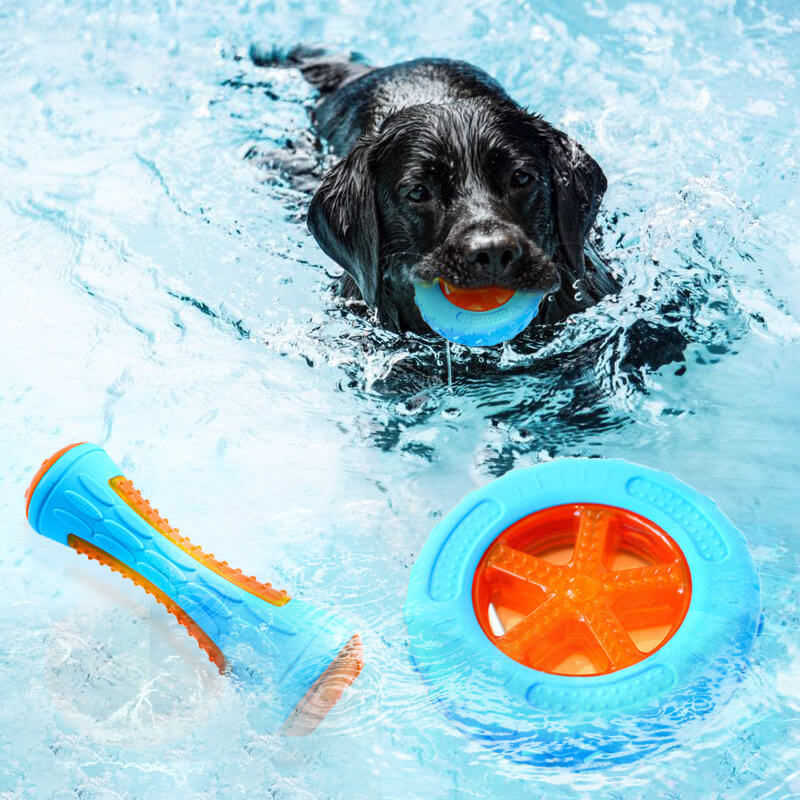 Dog Interactive Chew Toy Outdoor Floating Water Toy - Holidayae