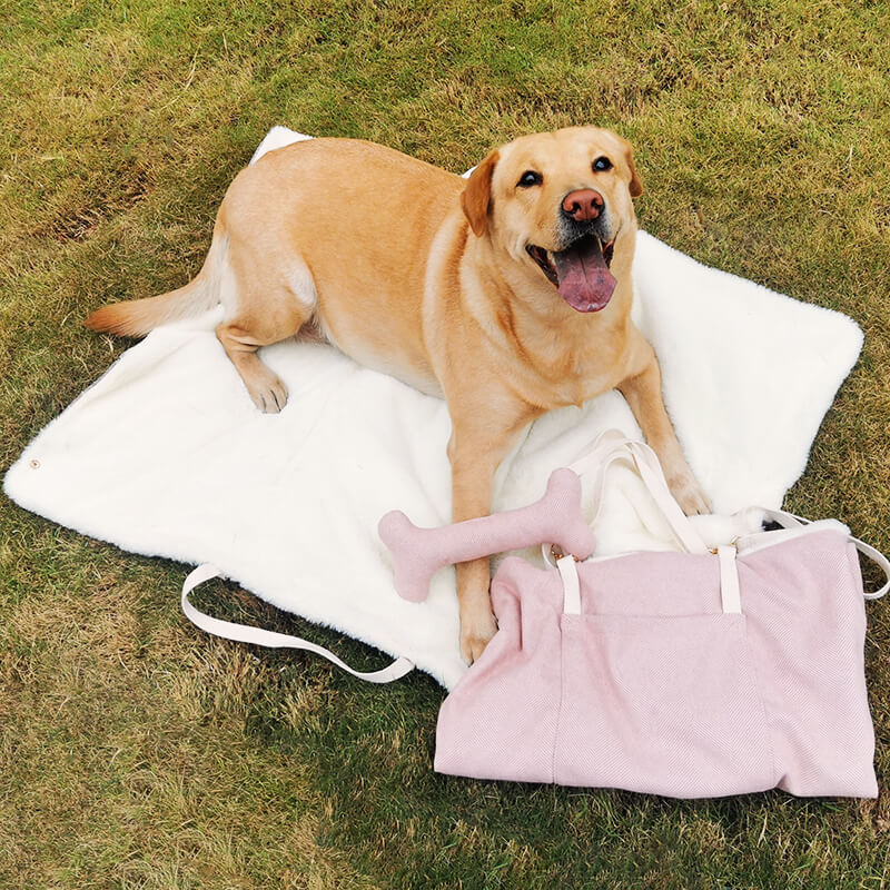 Portable Dog Mat - Holidayae