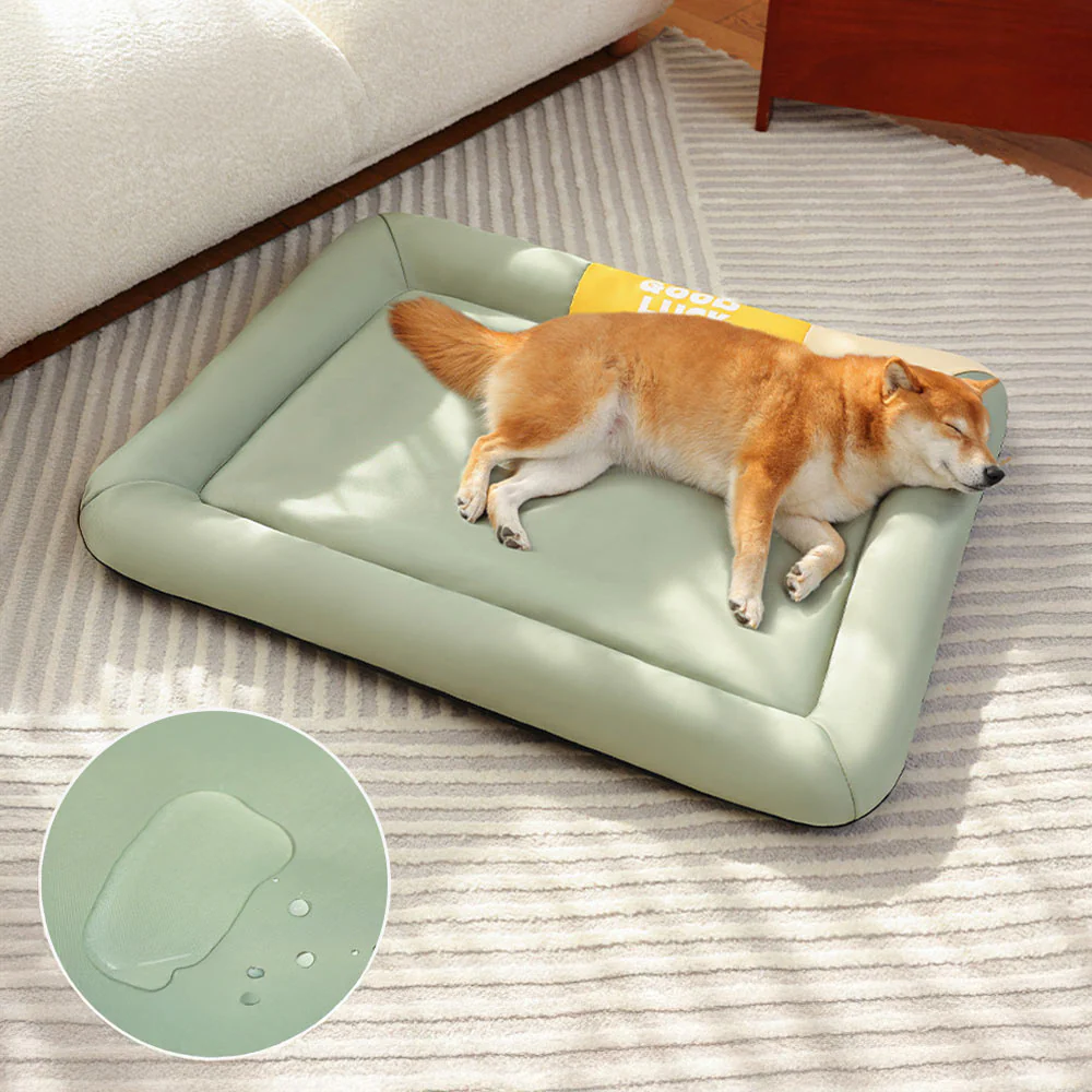 Colorblock Waterproof Scratch-Resistant All-Season Dog Mat - Holidayae